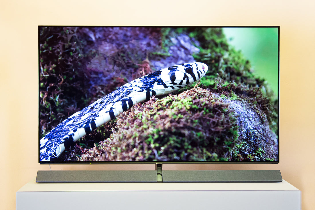 Panasonic TX-65EZW1004: High-End OLED TV vorführbereit