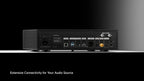 Eversolo T10
