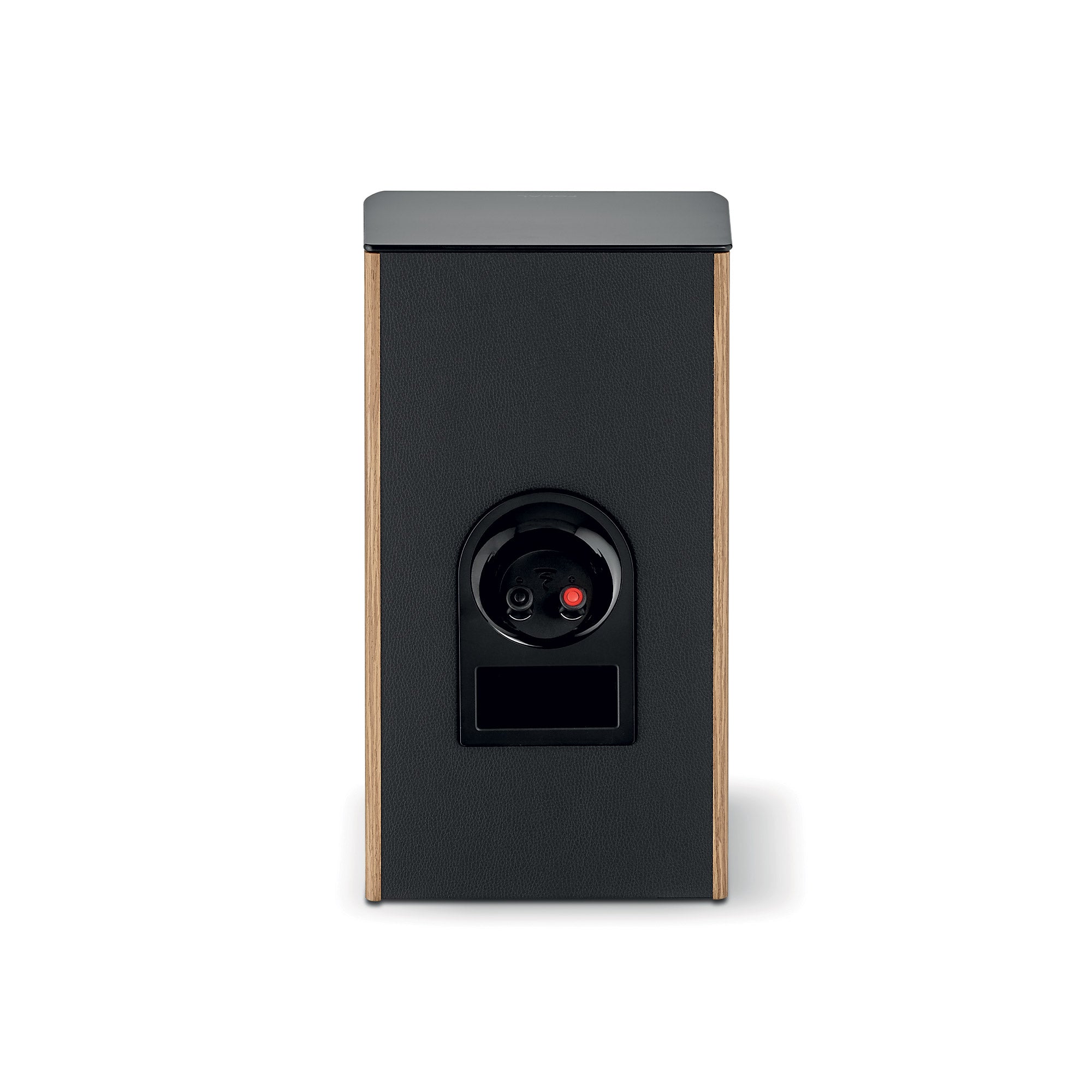 Focal Aria Evo X N° 1 (Paar)