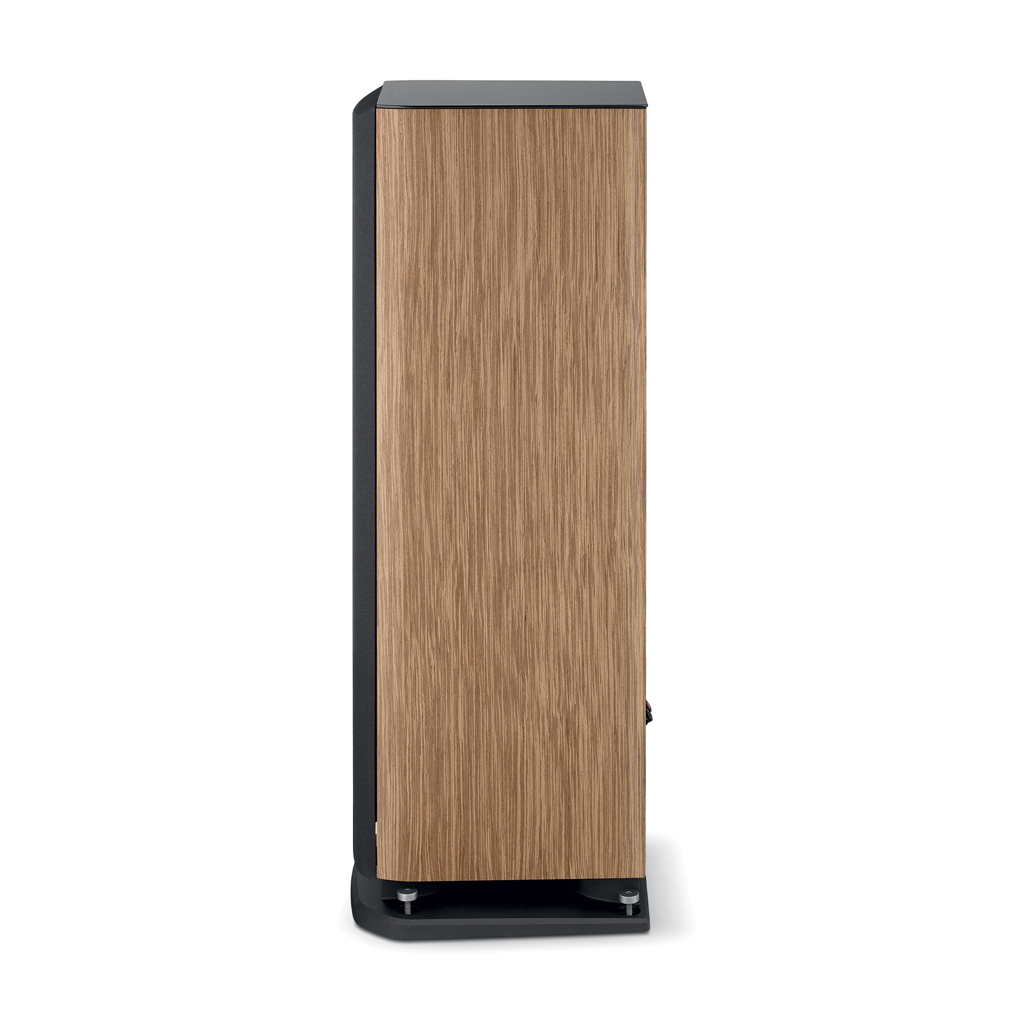 Focal Aria Evo X N°2 (Paar)