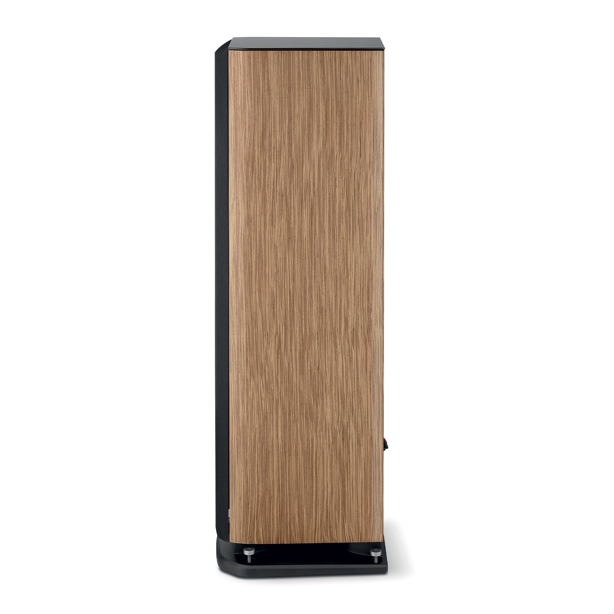 Focal Aria Evo X N°3 (Paar)