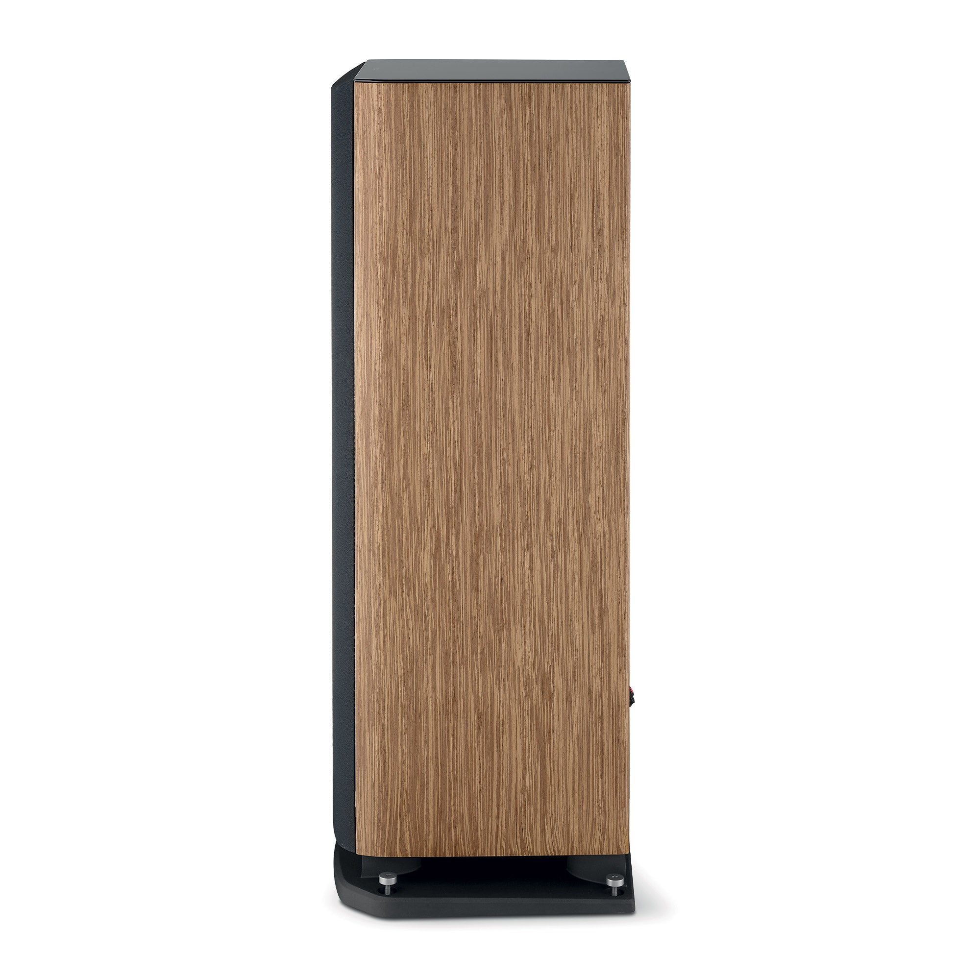 Focal Aria Evo X N°4 (Paar)