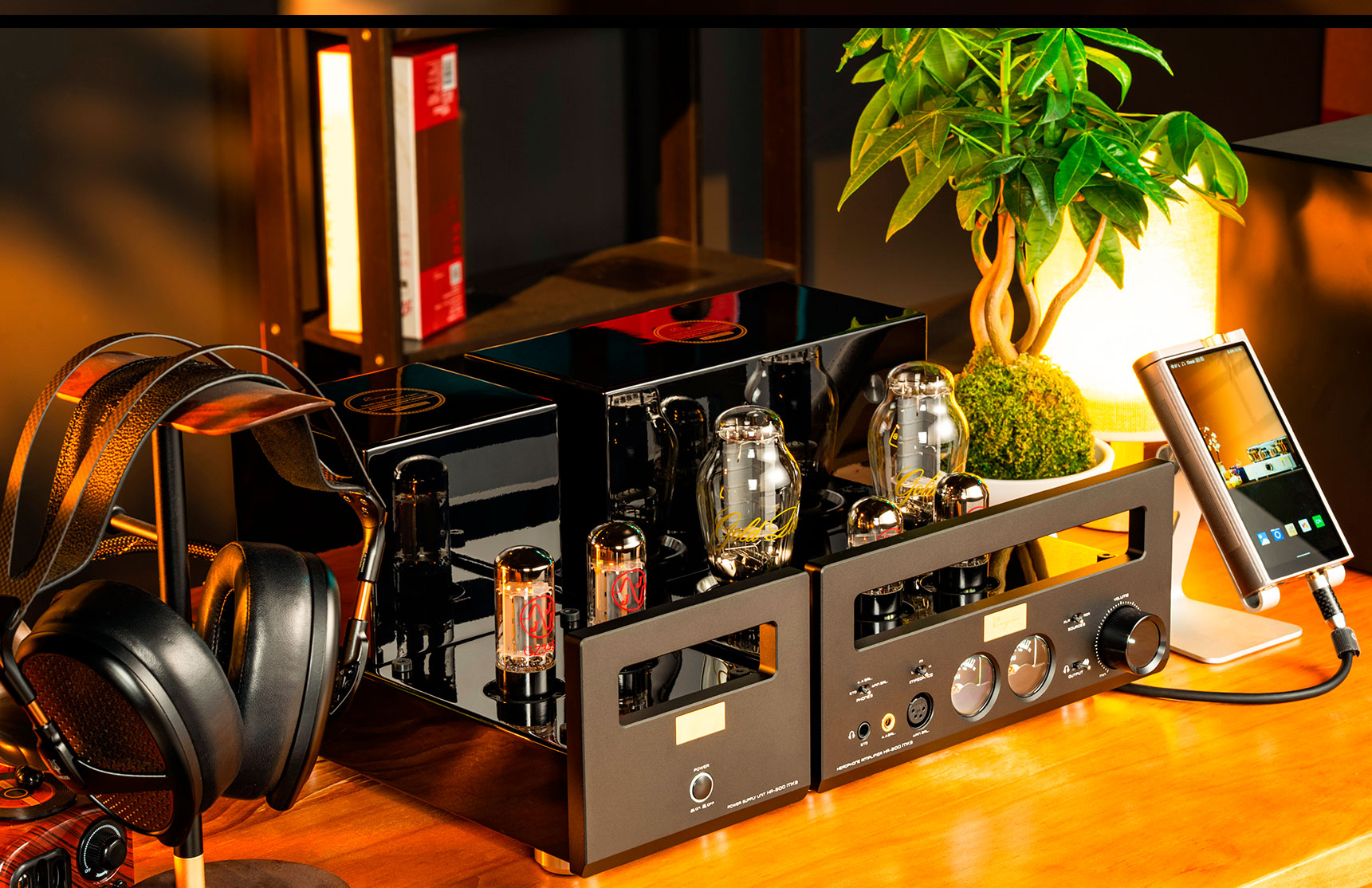 Cayin HA-300MK3
