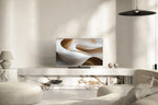 Loewe antares 65