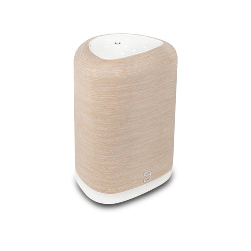 Bluesound Pulse Flex P130