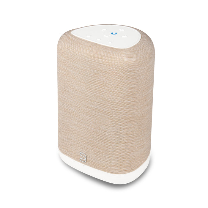 Bluesound Pulse Flex P130