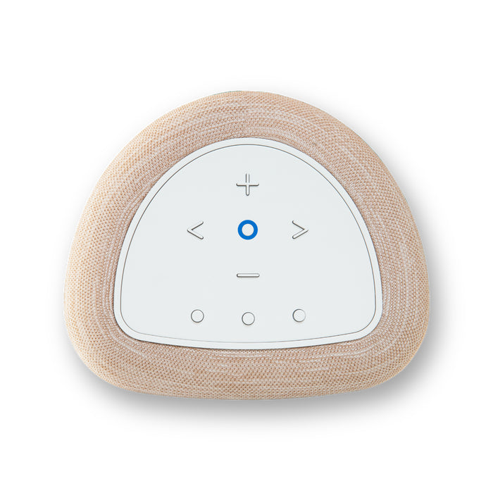 Bluesound Pulse Flex P130