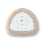 Bluesound Pulse Flex P130