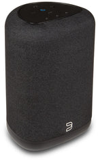 Bluesound Pulse Flex P130