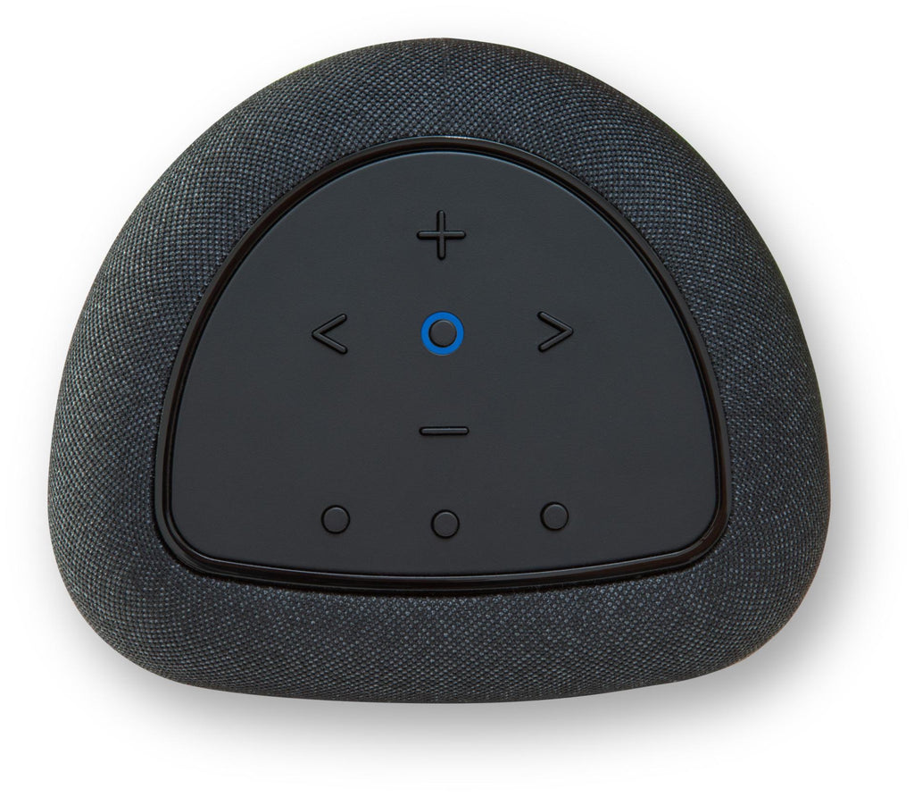 Bluesound Pulse Flex P130