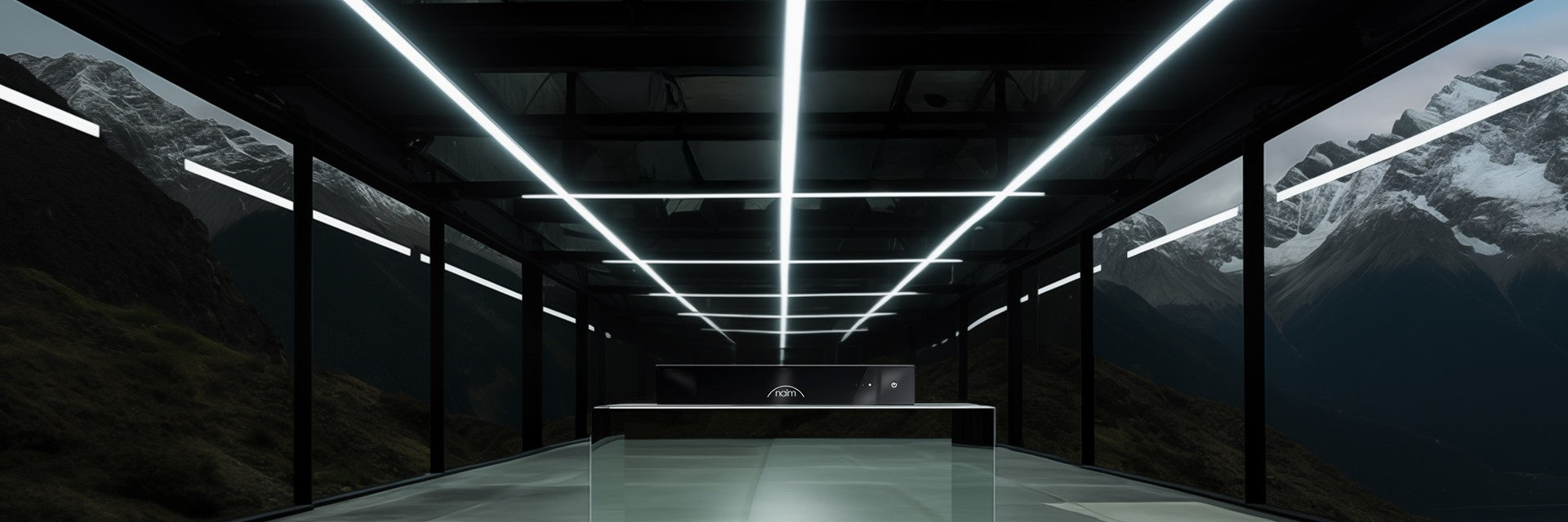 Naim CI-Uniti 102