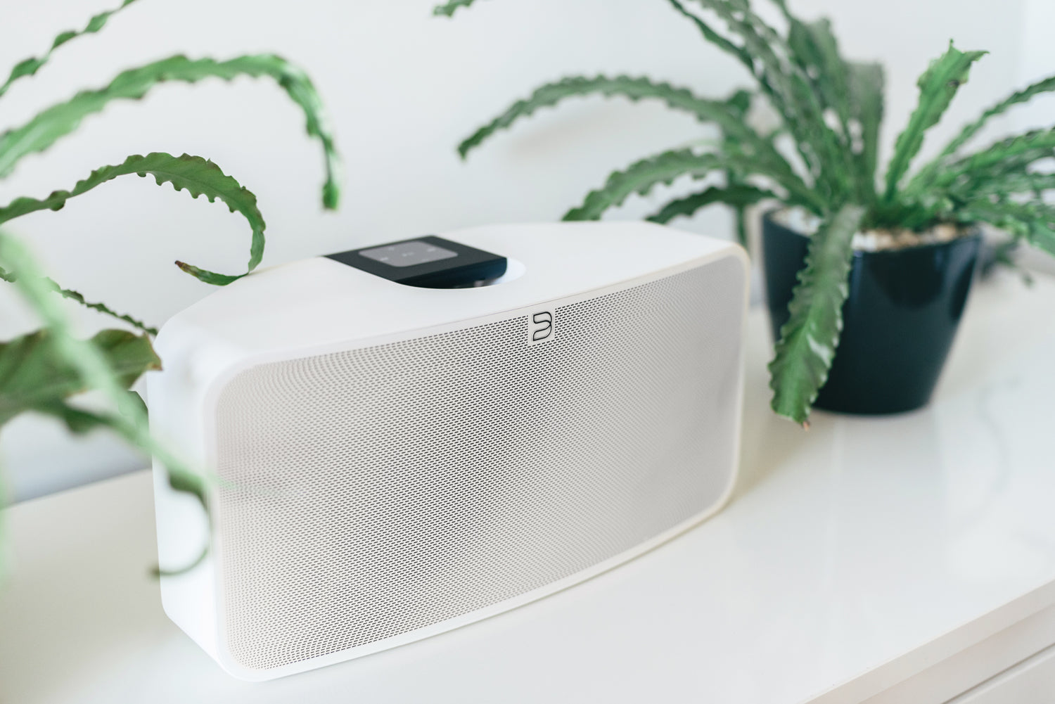 bluesound pulse 2i white
