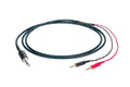 Cardas Parsec Headphone Bild 1