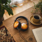 audio technica ath wp900