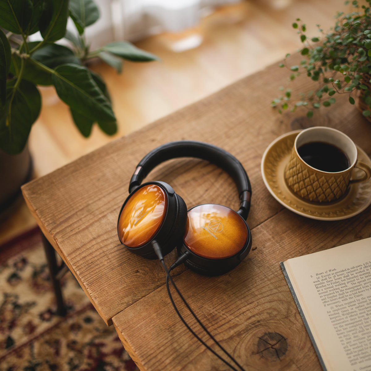 audio technica ath wp900