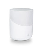 Bluesound Pulse M Bild 1