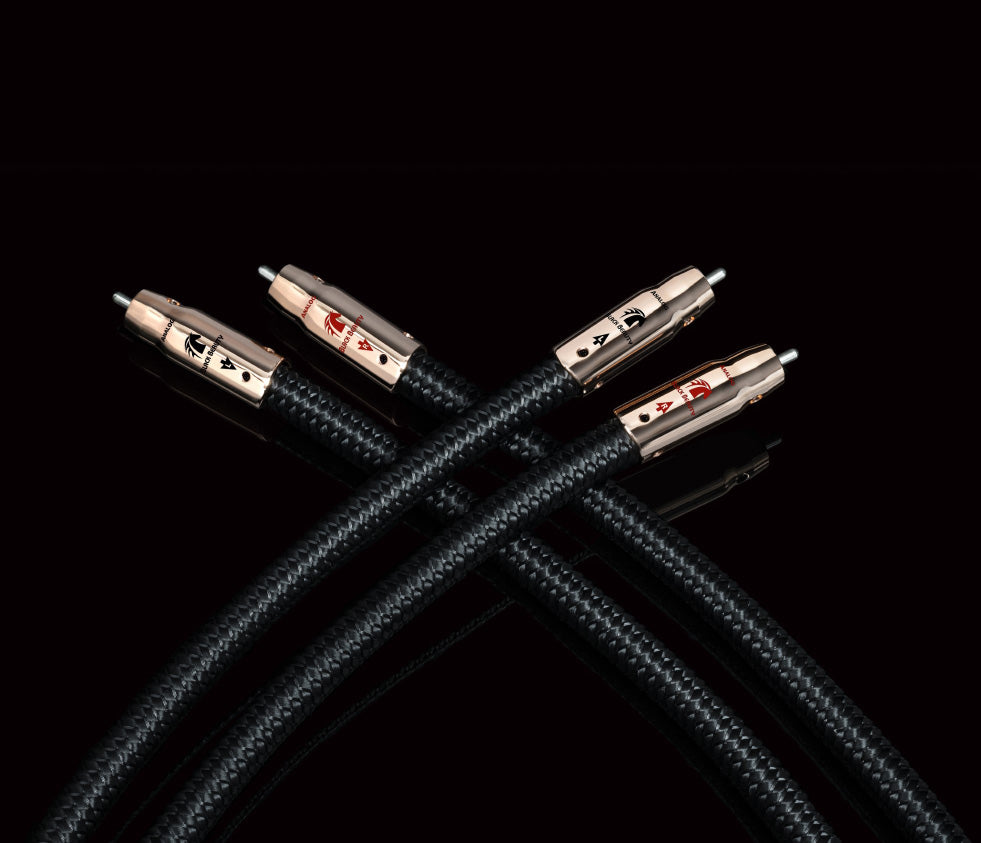 AudioQuest Black Beauty RCA (Paar) Bild 3
