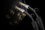 AudioQuest Dragon RCA (Paar) Bild 3
