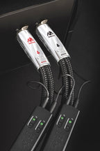 AudioQuest Dragon XLR (Paar) Bild 3
