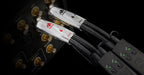 AudioQuest Dragon XLR (Paar) Bild 4