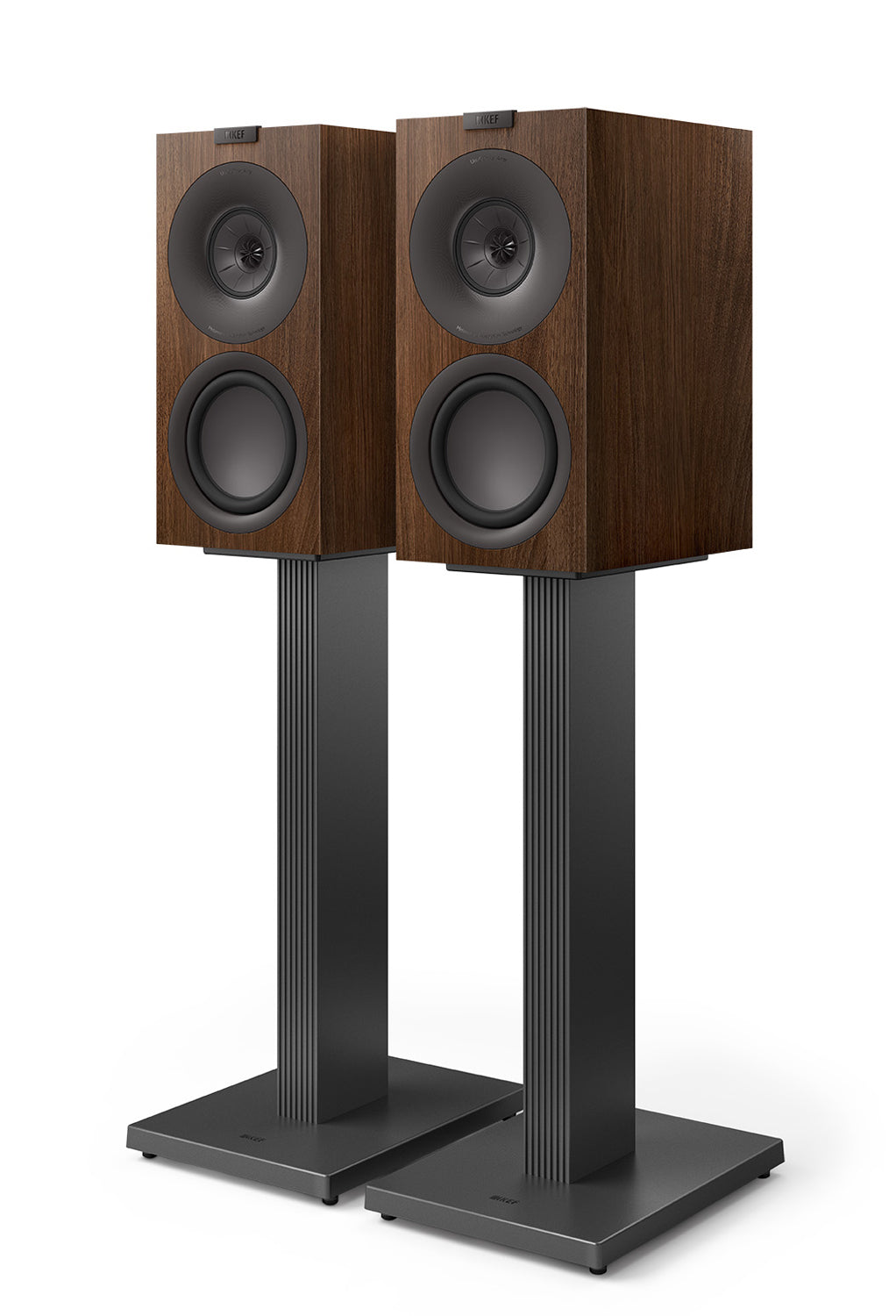 kef q concerto meta kompaktlautsprecher walnuss stands