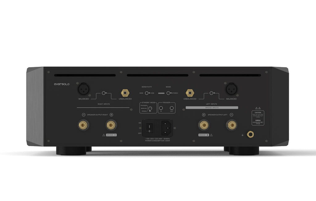 EverSolo AMP-F10 Bild 1