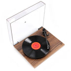 Rega Planar 1 Plus Bild 7