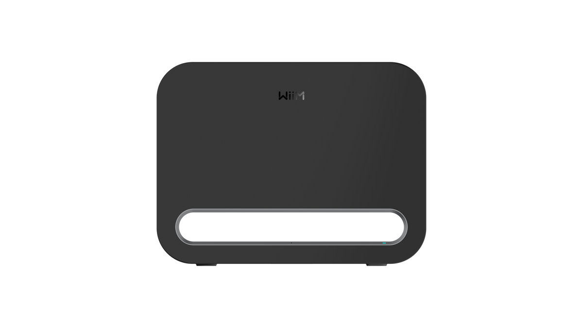 WiiM Sub Pro