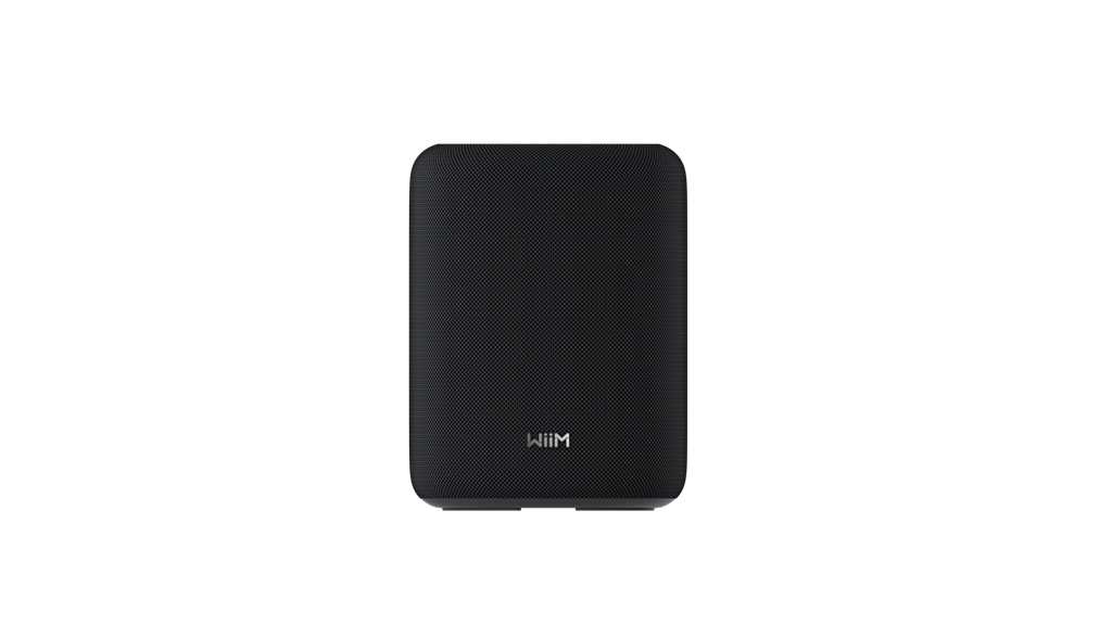 WiiM Sound Lite