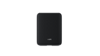 WiiM Sound Lite