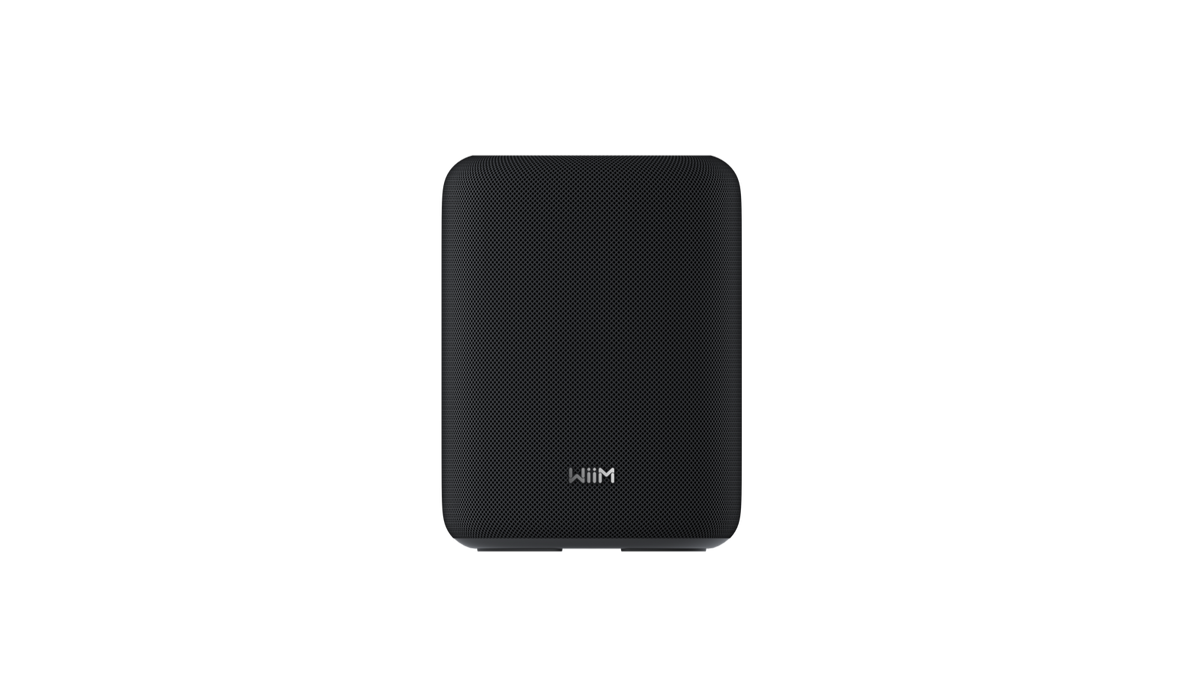 WiiM Sound Lite