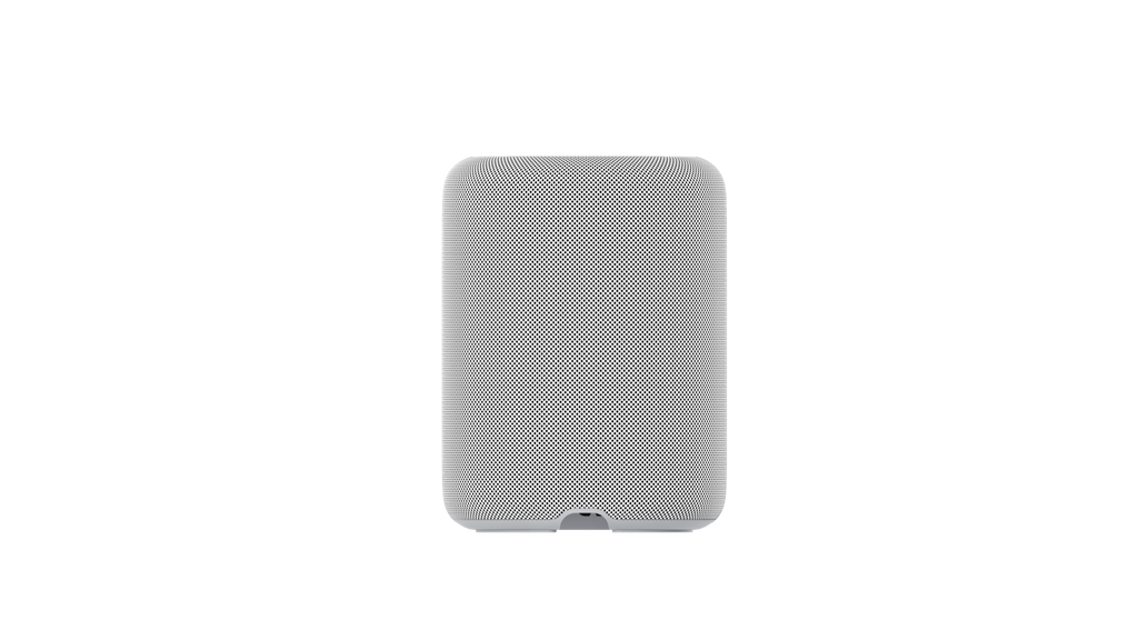 WiiM Sound Lite